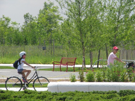 Nine days left to bike in the new 30 acres of park on Governors Island. Image by Lexi Quint, courtesy of the Trust. 